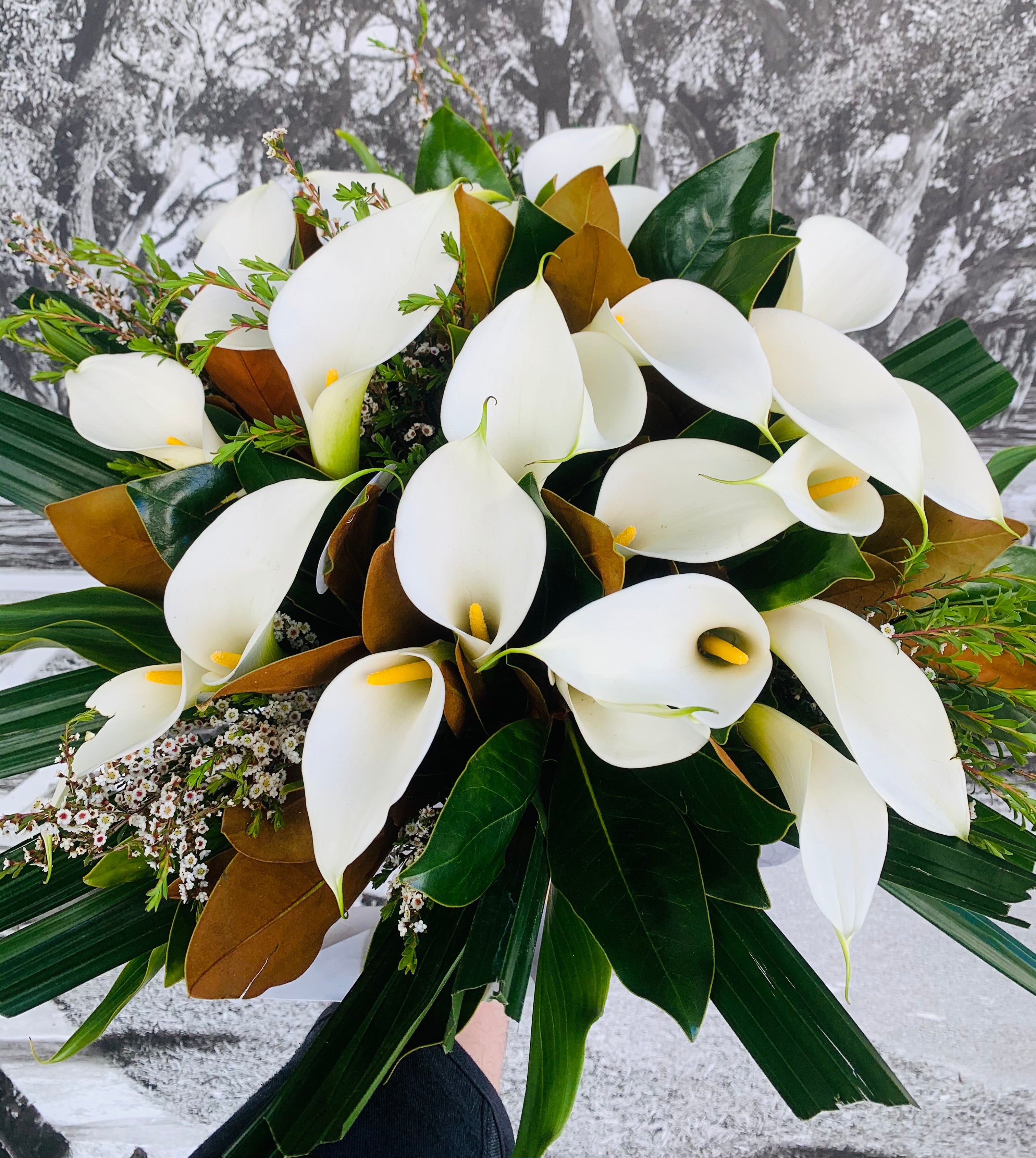 arum lily funeral flower Aarom & Calla Lily Sydney