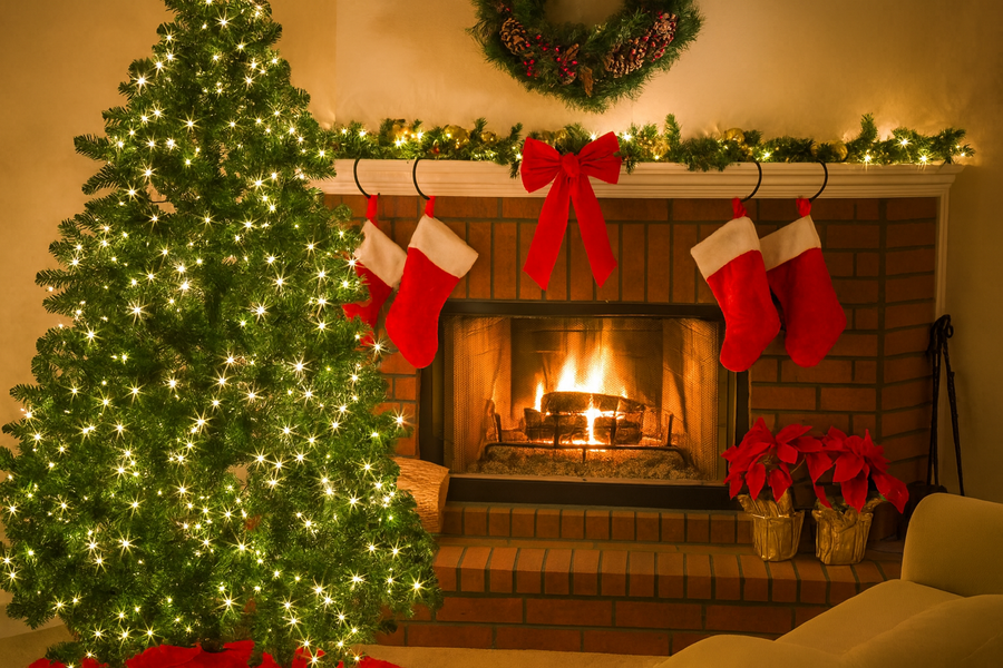 Fresh Christmas Tree Delivery in Sydney: Everything You Need to Know