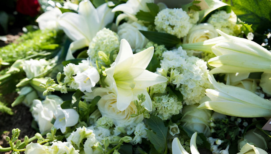 Choosing the Right Sympathy Flowers in Sydney: A Guide to Expressing Comfort and Care