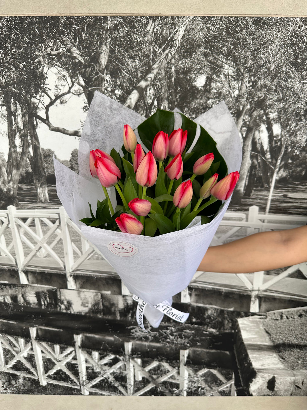 Tulip Bouquet - Assorted 1 colour - IN STOCK