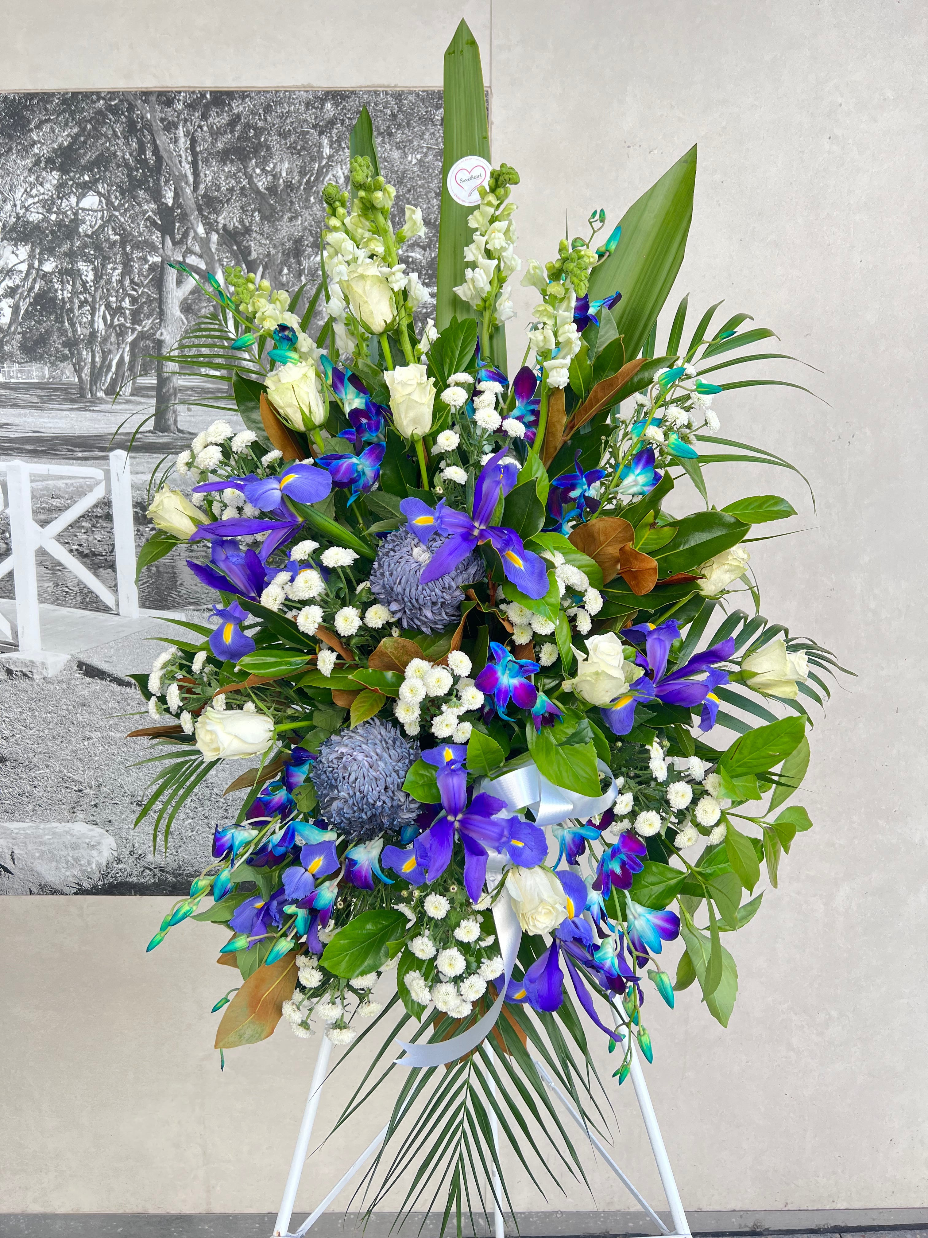 Blue & White Spray