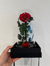 Load image into Gallery viewer, The Belle Everlasting Rose
