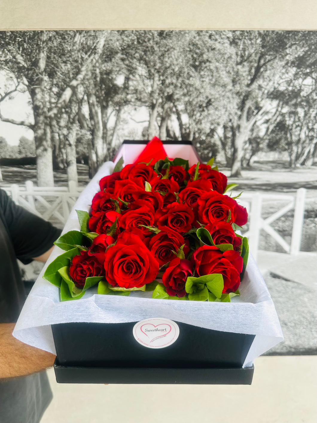 24 Red Rose Box