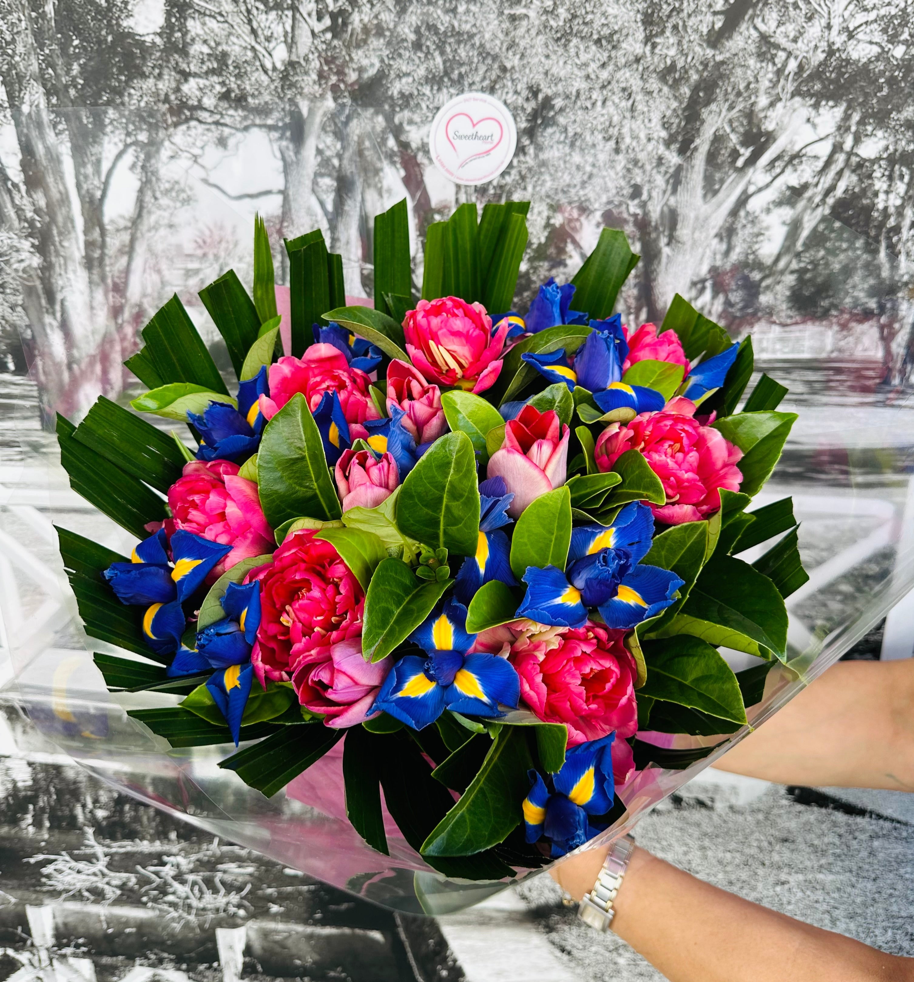 Blue Iris & Tulips - SYDNEY - IN STOCK