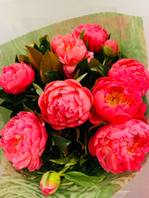 Load image into Gallery viewer, Peony Rose / Peonies
