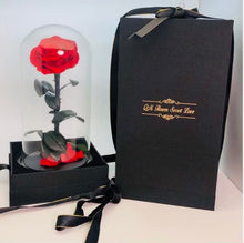 Load image into Gallery viewer, The Belle Everlasting Rose
