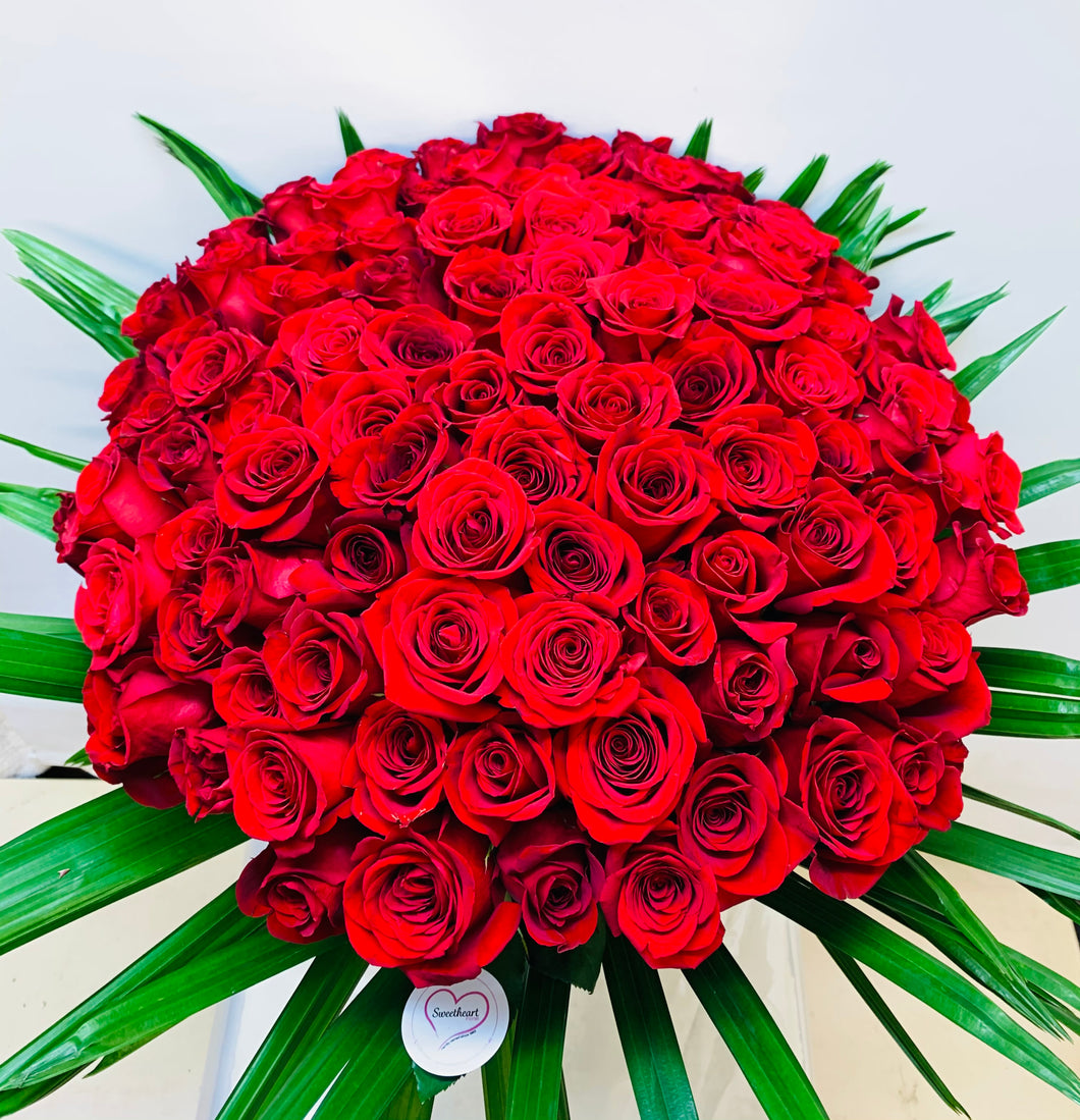 100 Red Roses - One Hundred Kisses!